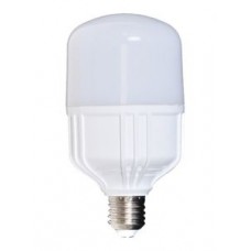 18W LED Bulb (Screw Type)