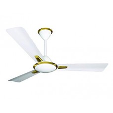 Crompton Aura Ceiling Fan
